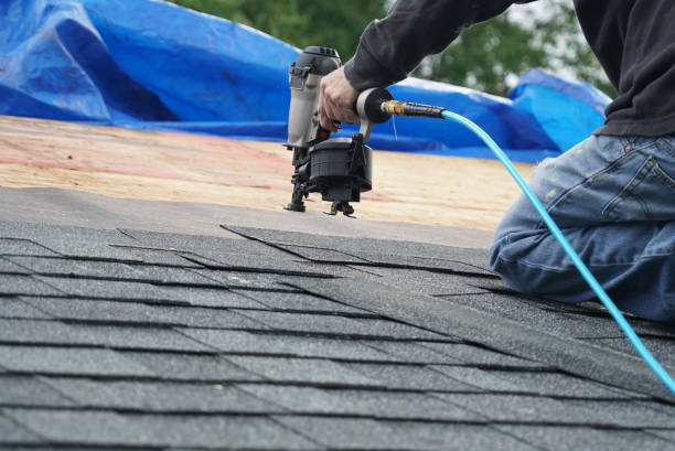 Best Storm Damage Roof Repair  in Maysville, MO